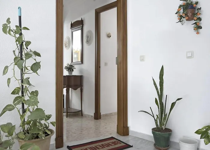 Pepa's House * Conil De La Frontera